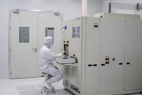 一場量子計算的“集體沖刺” 看長三角如何搶跑全球物聯網技術研發